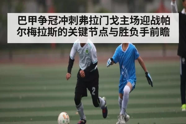 巴甲争冠冲刺弗拉门戈主场迎战帕尔梅拉斯的关键节点与胜负手前瞻